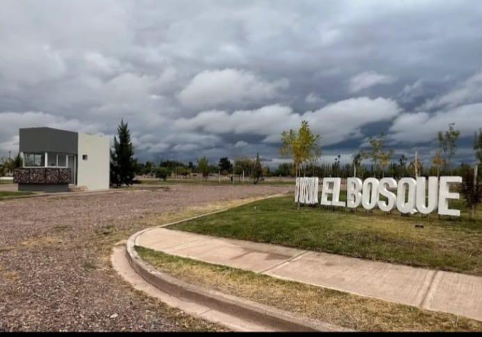 LOTE EN EL BOSQUE - Principal