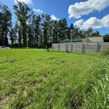 Terreno en venta en Piñero
