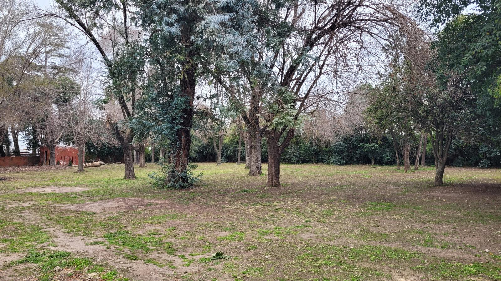 image 13