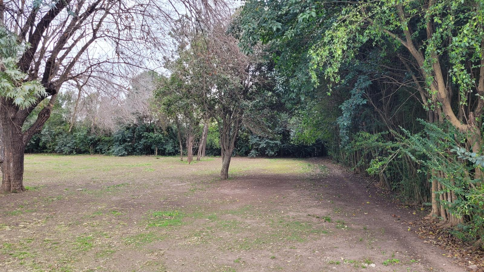 image 14