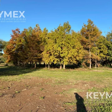 Terreno con muro perimetral,salida a 2 calles, lago y añeja arboleda.Villa Rosa, Pilar. Oportunidad!