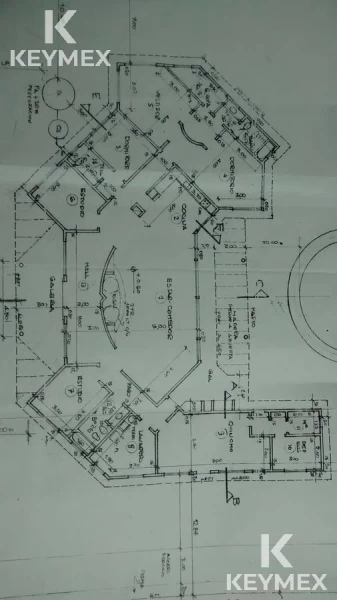 1755627429.jpg