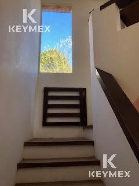 1755628763.jpg