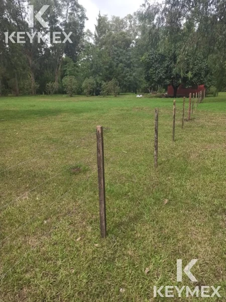 1755629196.jpg