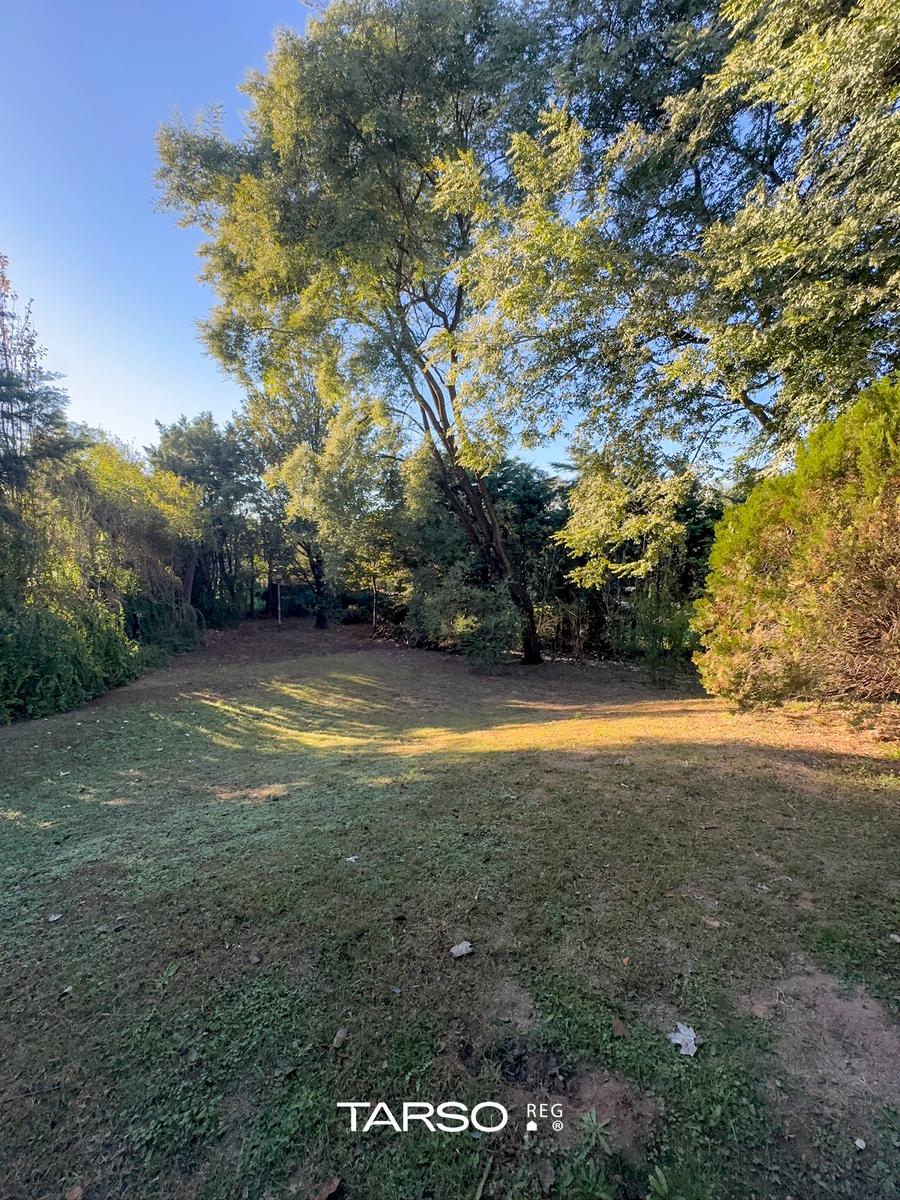 image 17