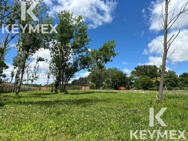 1755629950.jpg