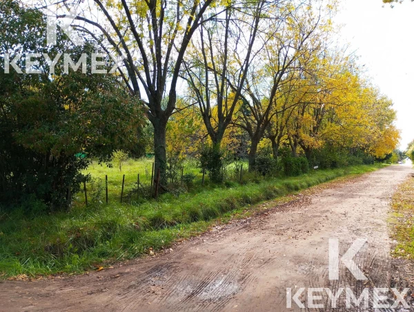 1755630751.jpg