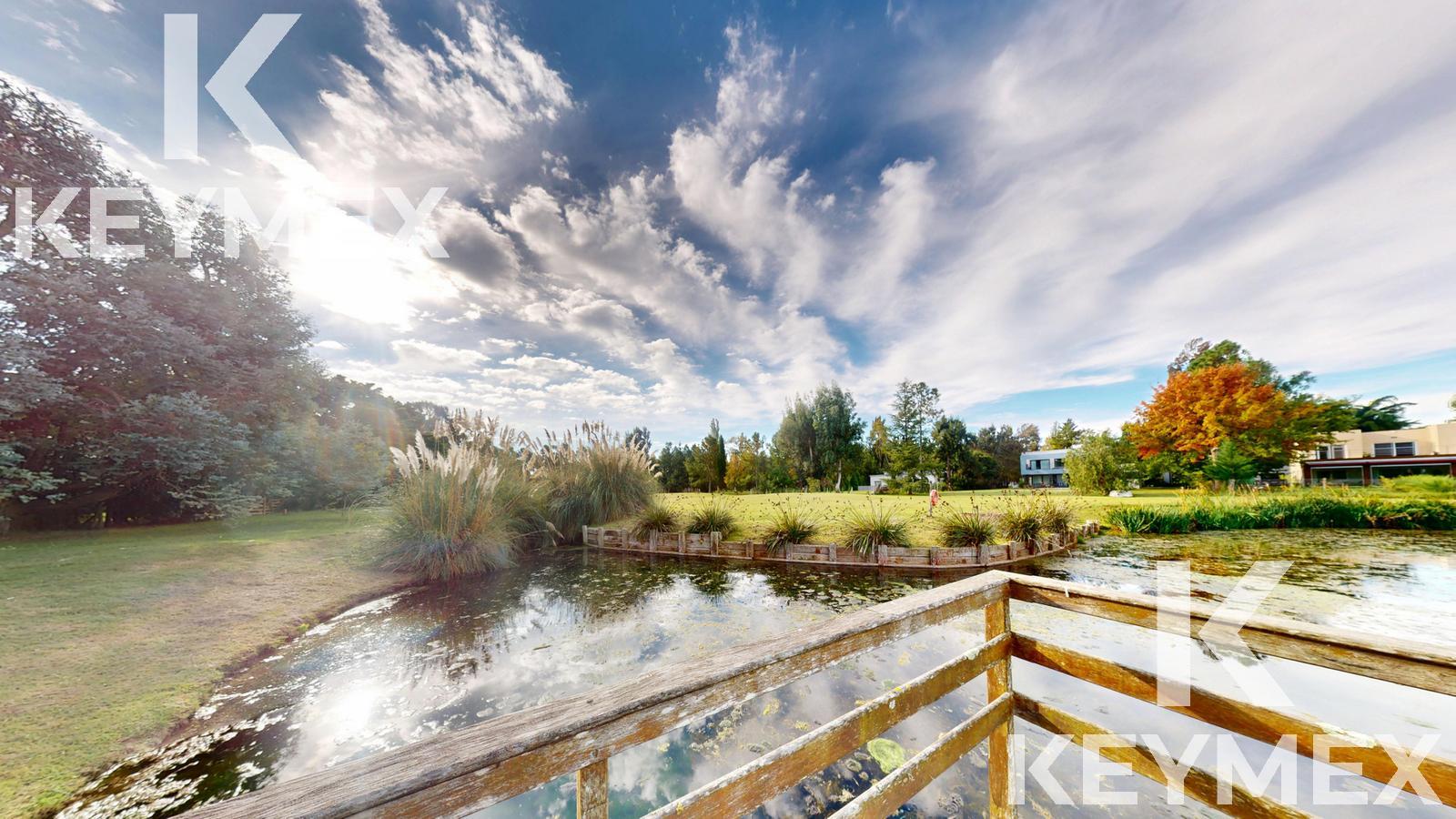 image 42