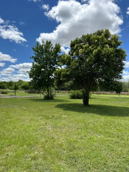 1755632329.jpg
