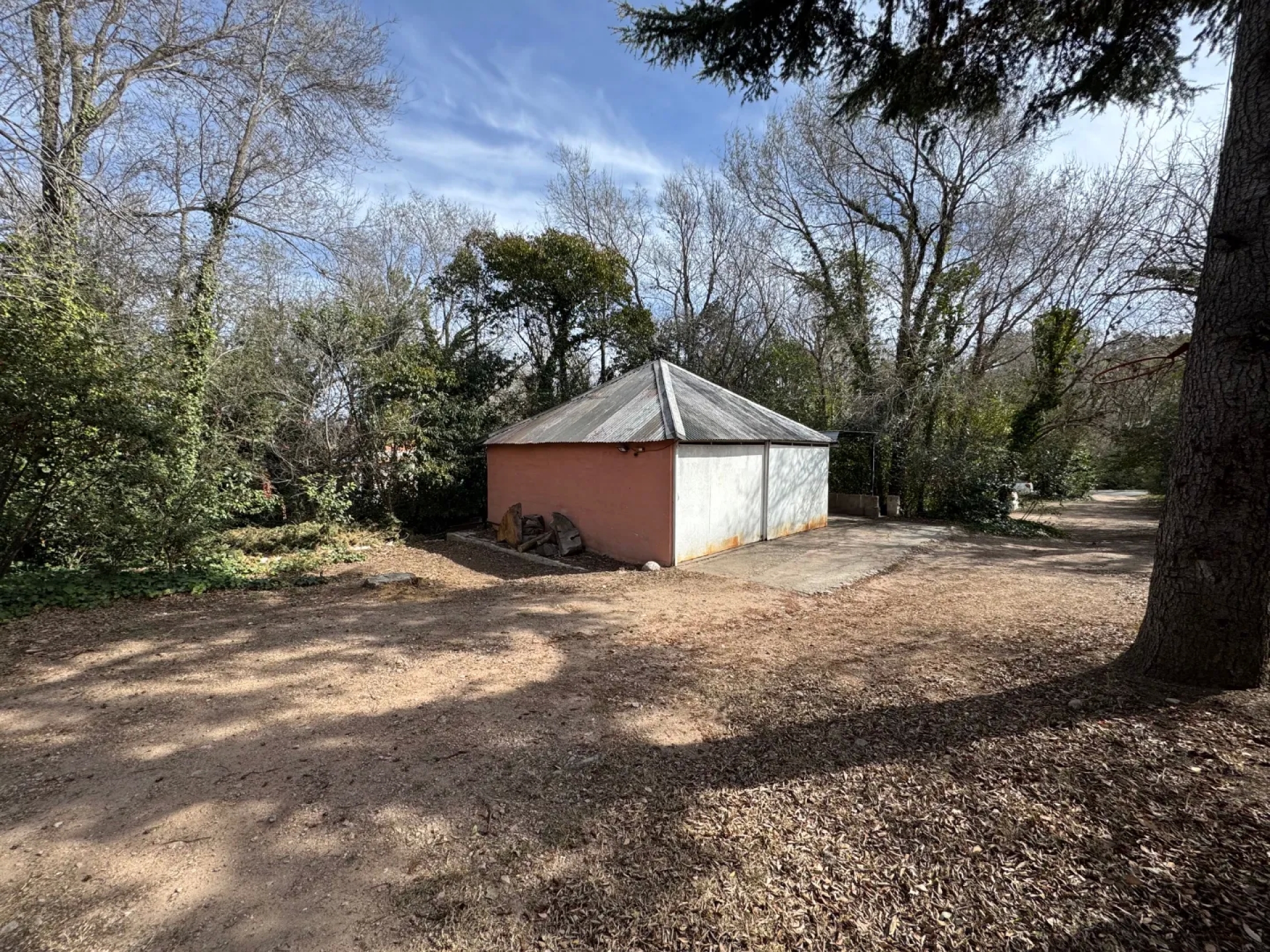 image 19