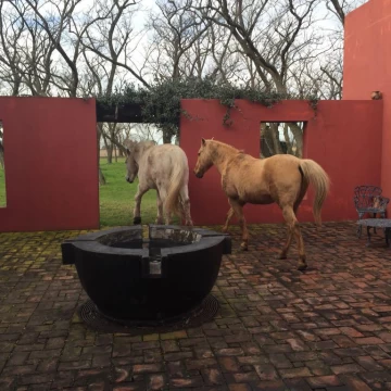 San Antonio De Areco  Campo con casa