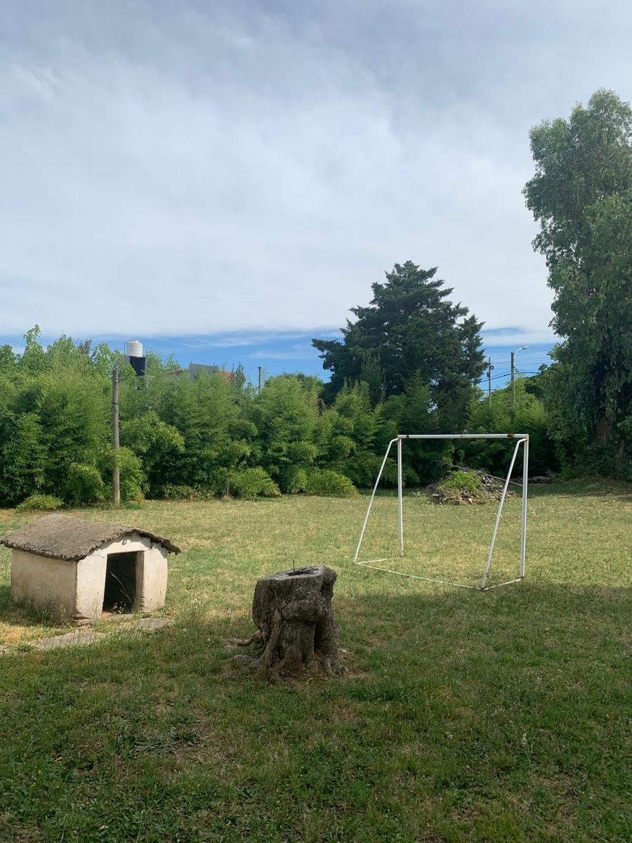 image 14