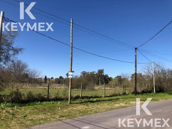 1755775338.jpg