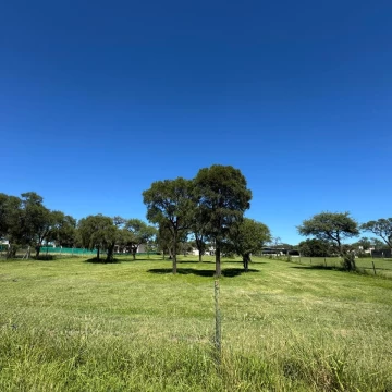 Terreno en  Estacion Del Carmen