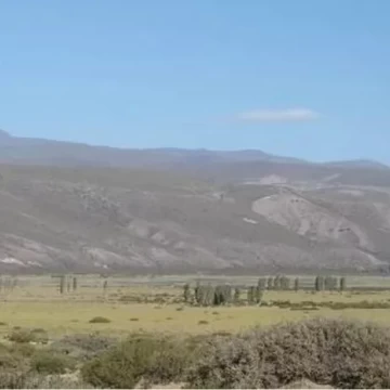 Campo de 24.304 ha en Malargue, Vaca Muerta, Mendoza