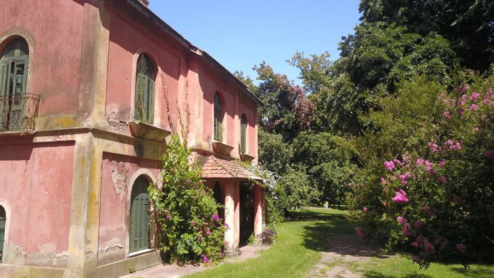 image 15