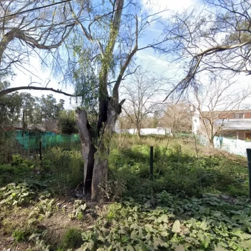 Lote en José C. Paz