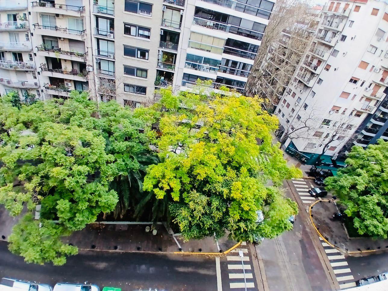 Vista a boulevard