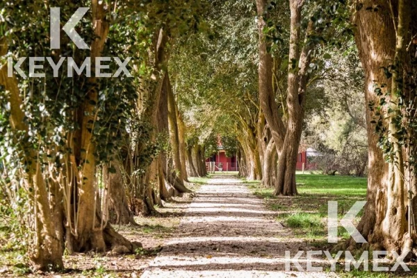 1756394054.jpg