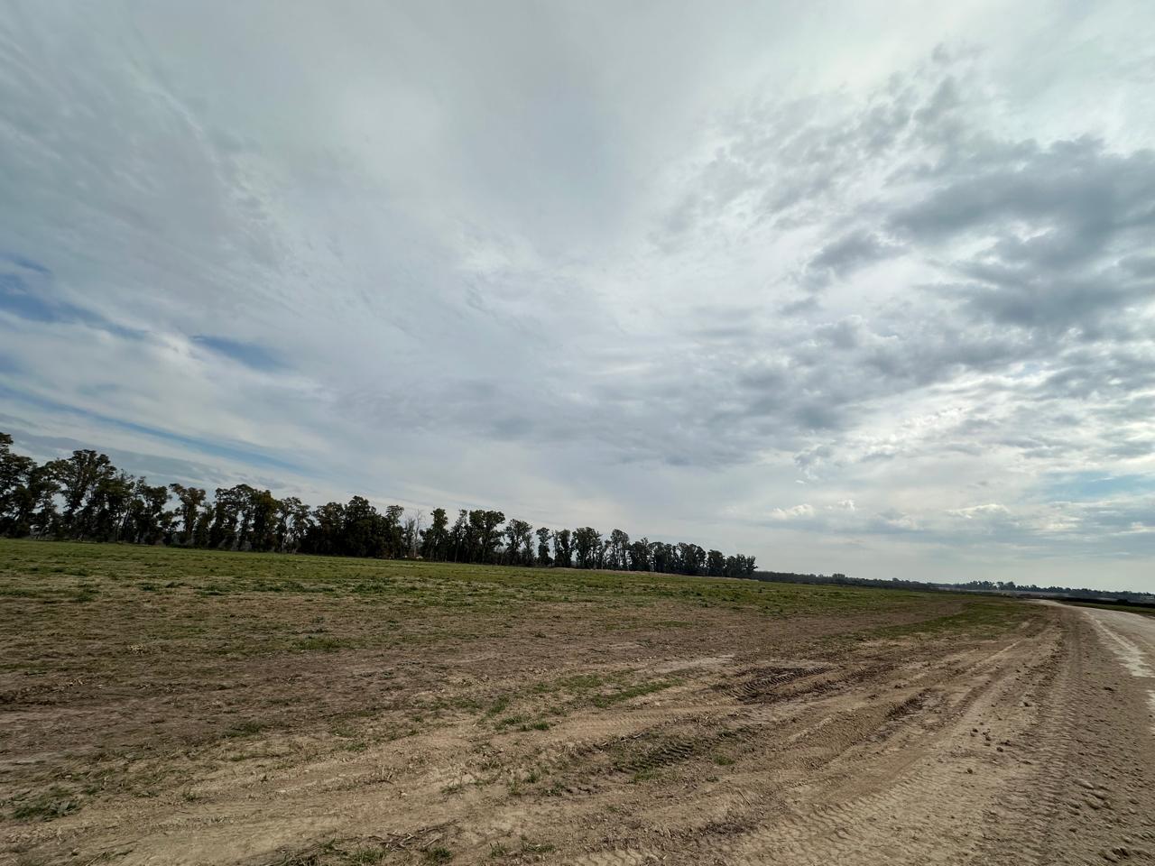 image 17