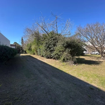 VENDE hermosos terrenos ubicados sobre Avenida Savio al 700