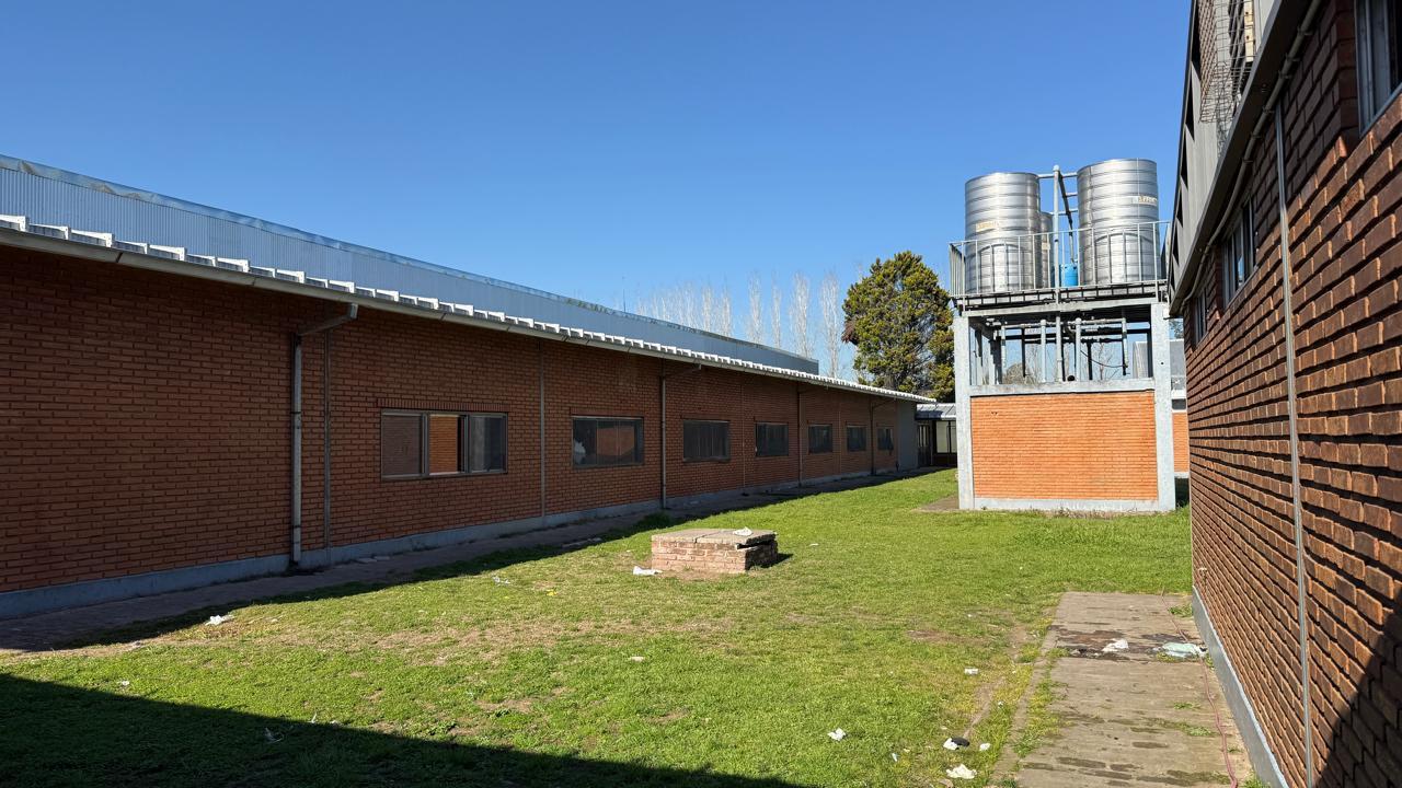 image 15
