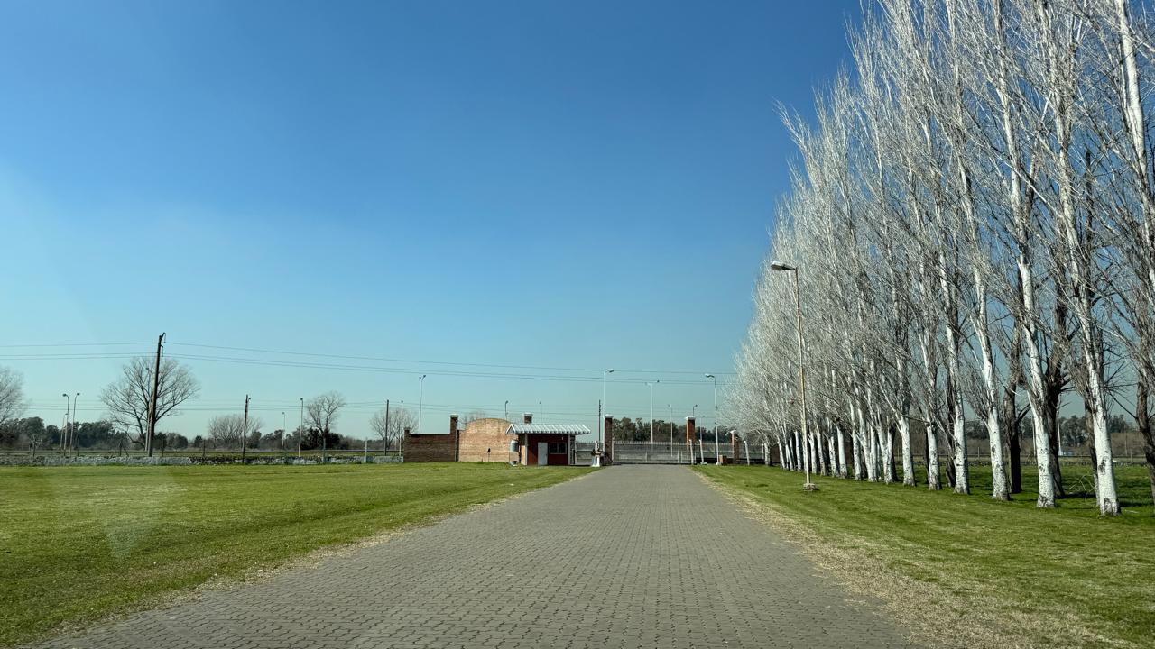 image 25