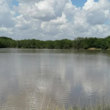 Terreno en Lago De Manzanares