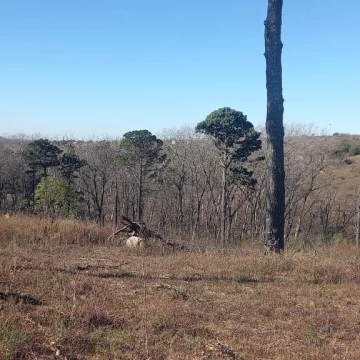 Terreno en Potrerillo Pueblo de Montaña en Potrero de Garay
