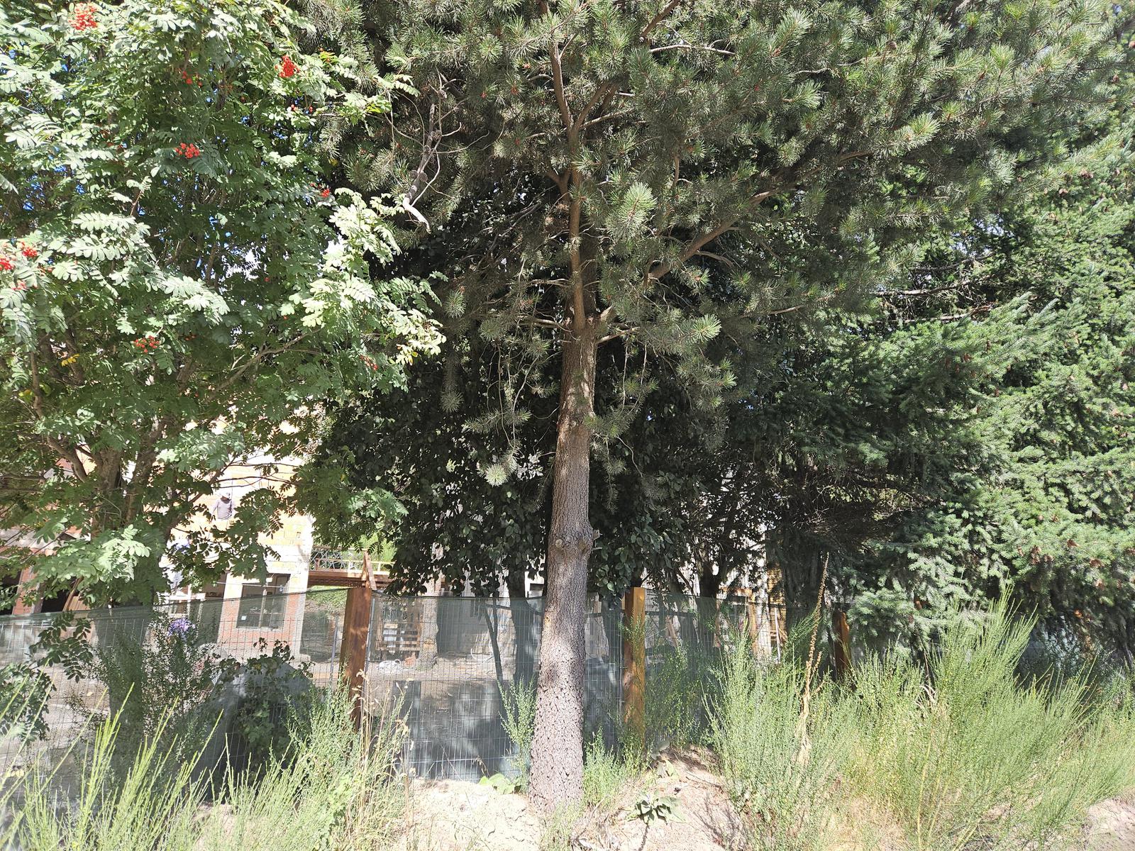 image 48