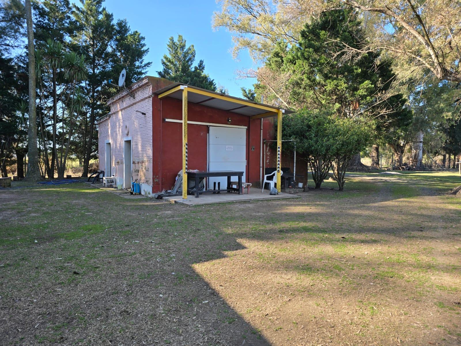 image 15