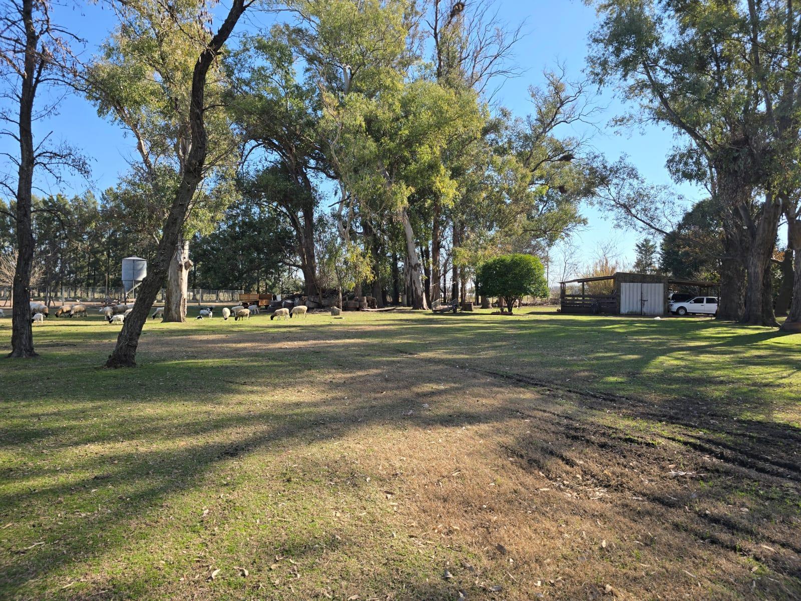 image 50