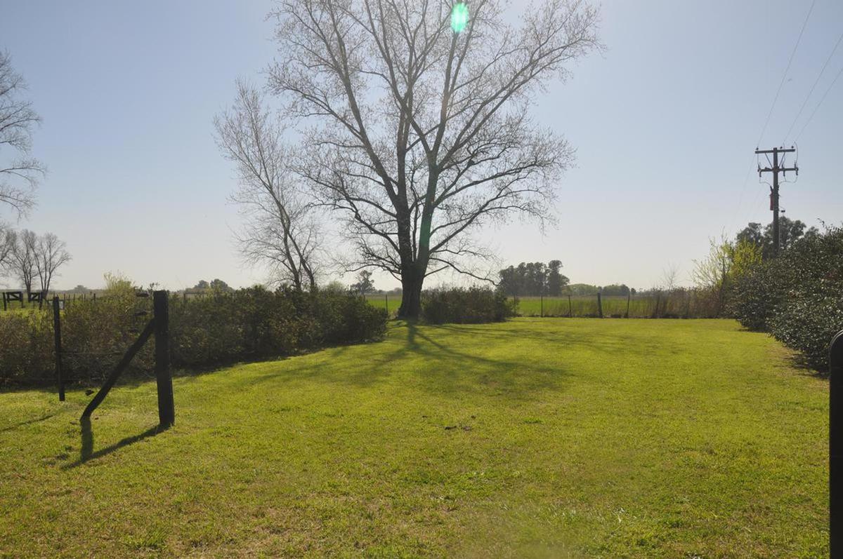 image 25