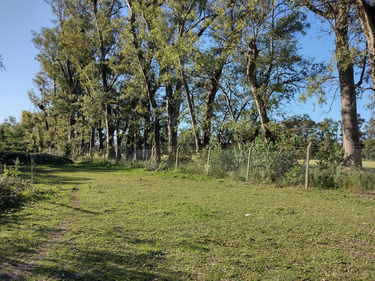 image 13