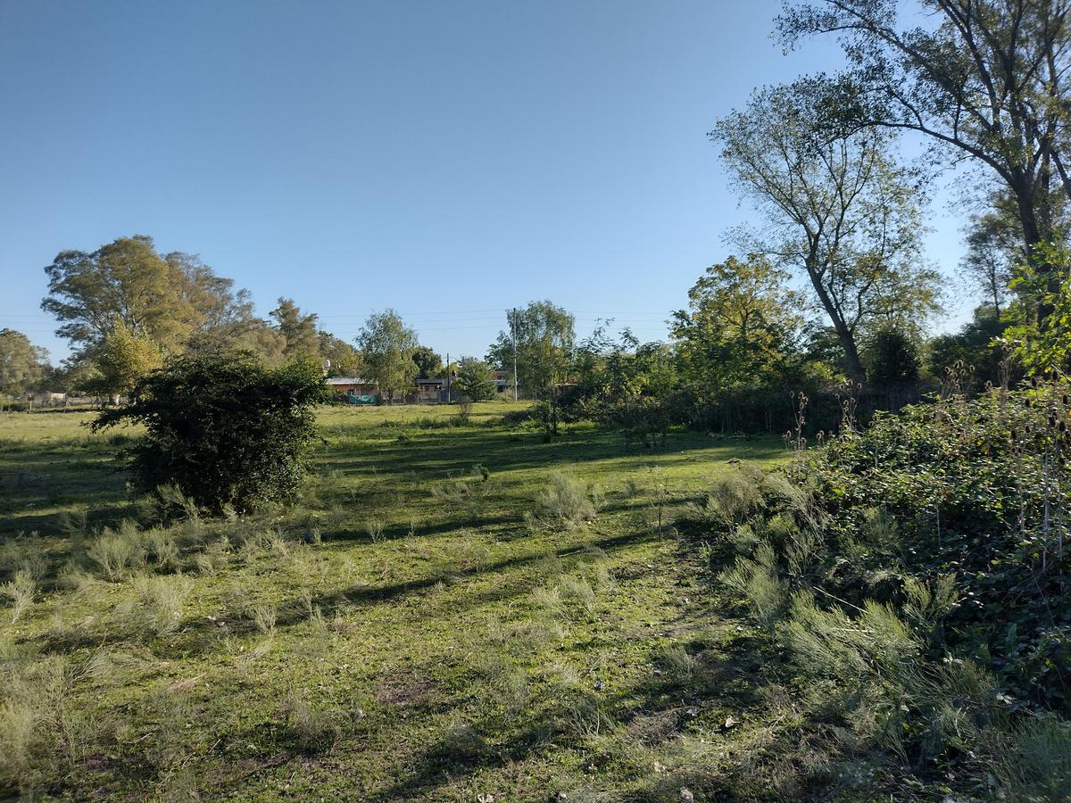 image 14