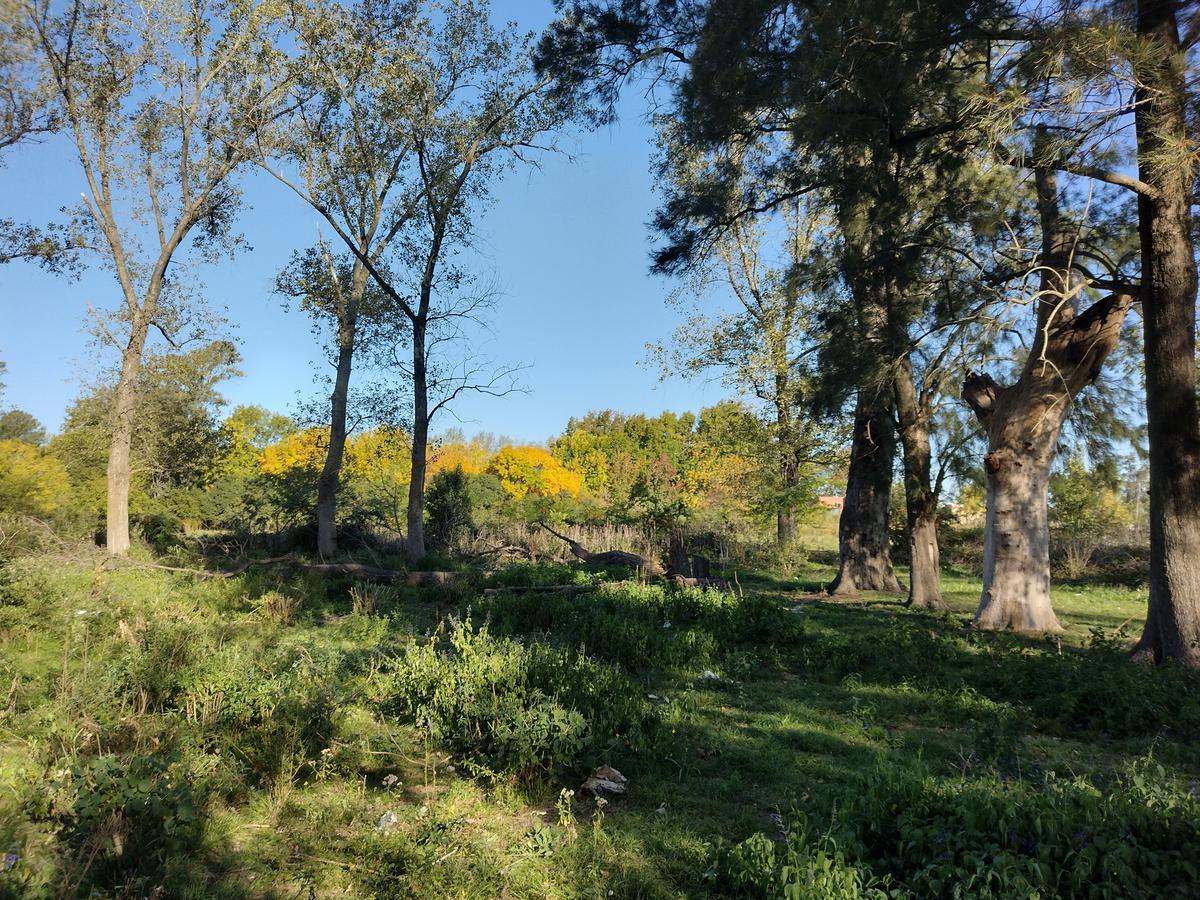 image 23