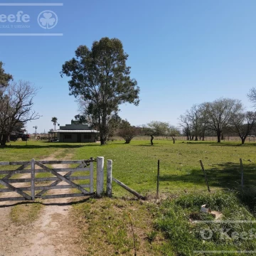 CHACRA de 15 has en venta - Disfrute y producción a 1000 mts de Ruta 29, en el Partido de General Belgrano.