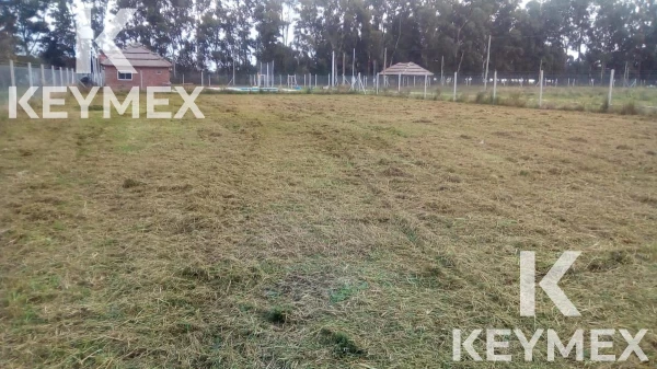 1758039237.jpg