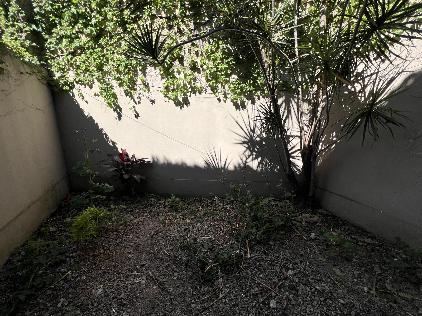 image 23