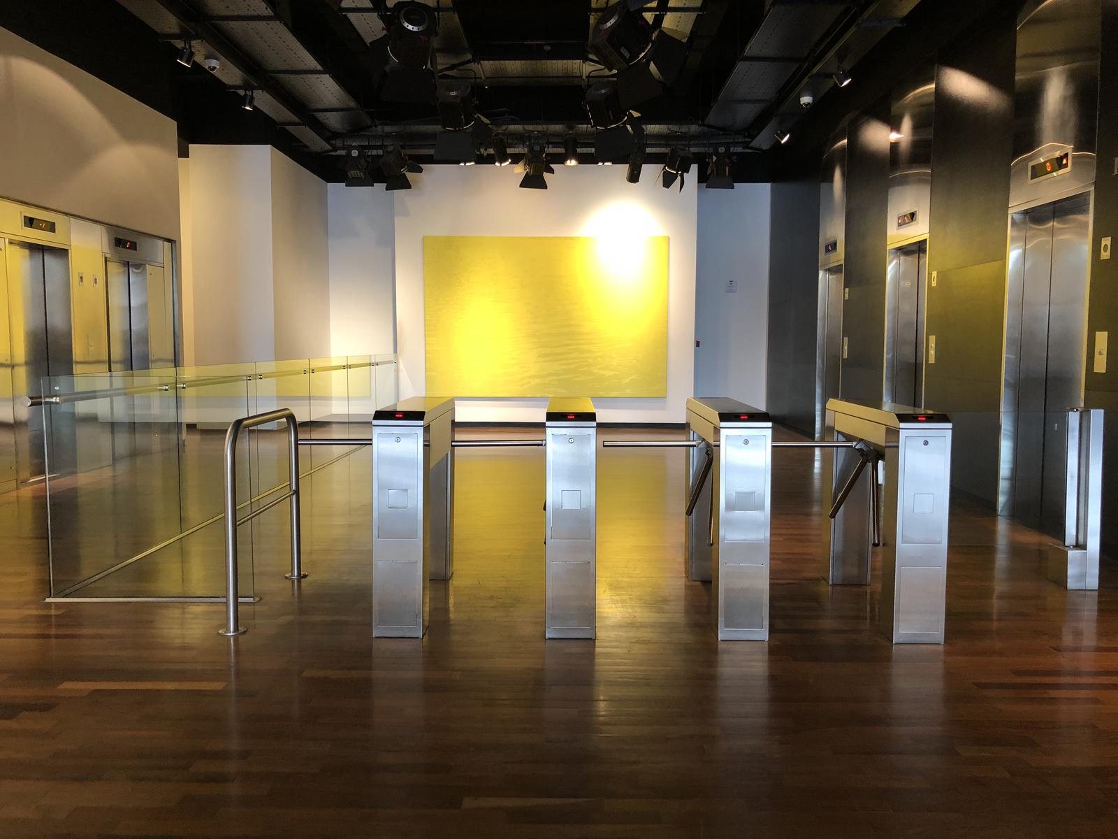 Hall / Lobby Torre Alrio Sur