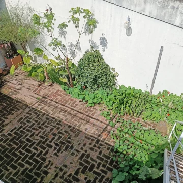 1758204761.jpg