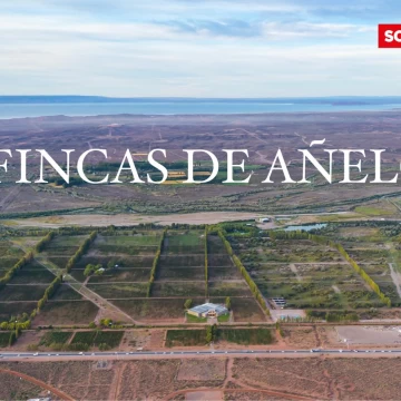 Urbanización única en Vaca Muerta