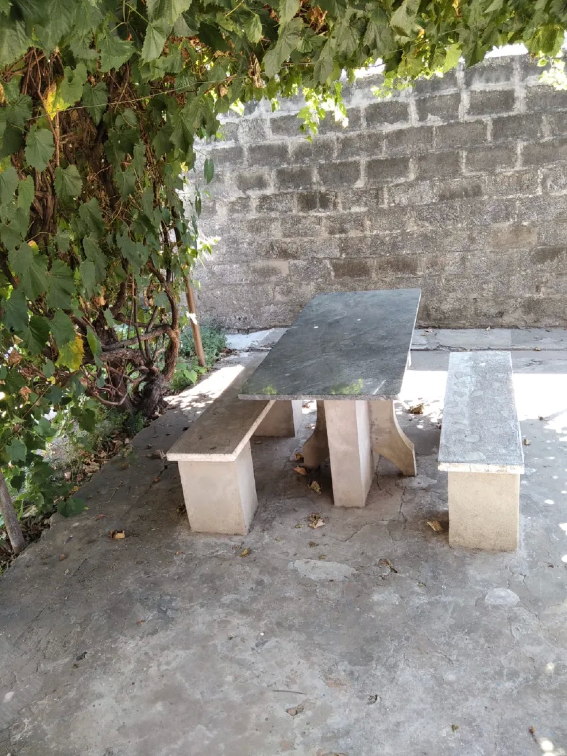 image 31