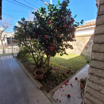 1758312840.jpg