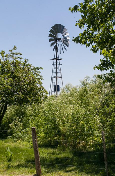 image 14