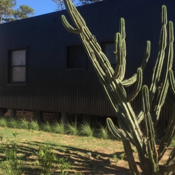 Acogedora casa en La Juanita