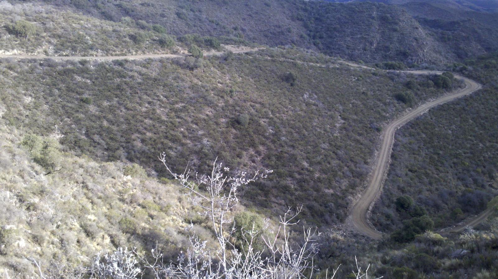 image 13