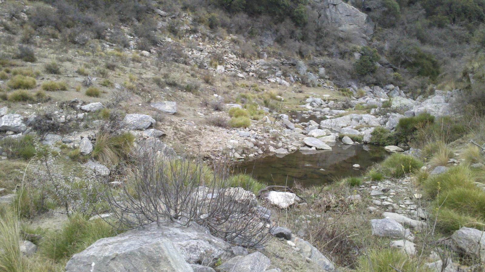 image 14