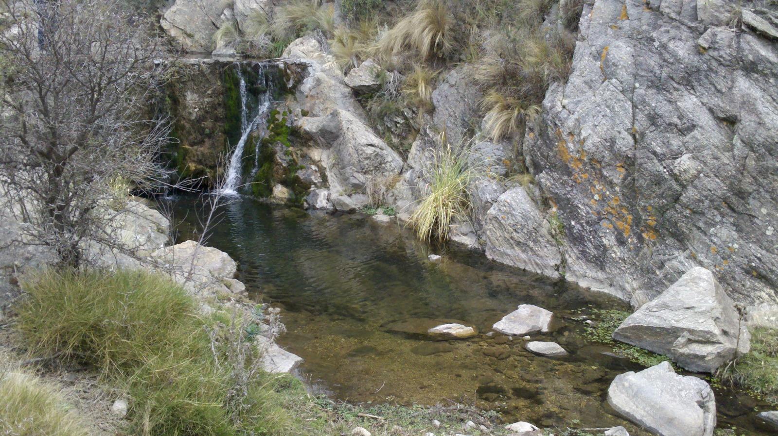image 17