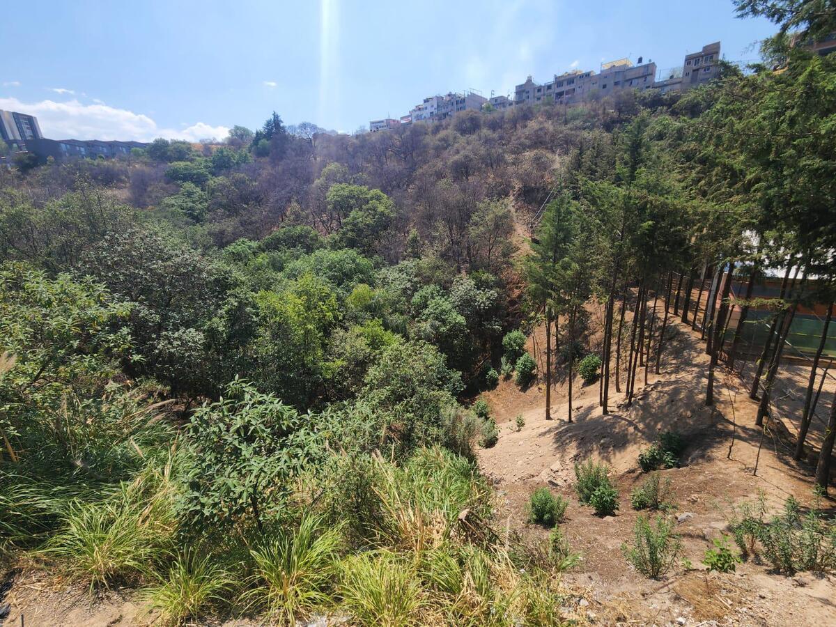 image 13